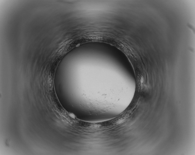 X0000094800609200711301541