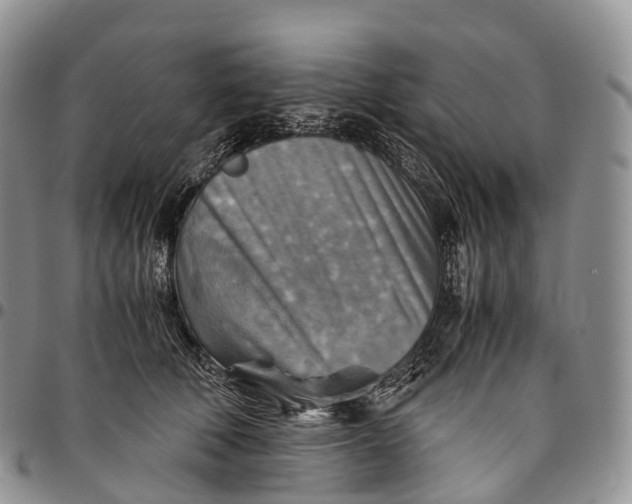 X0000094800610200711301541