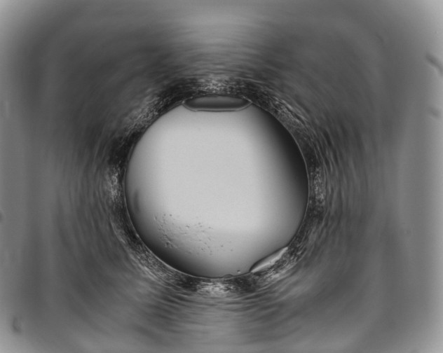 X0000094800611200711301541