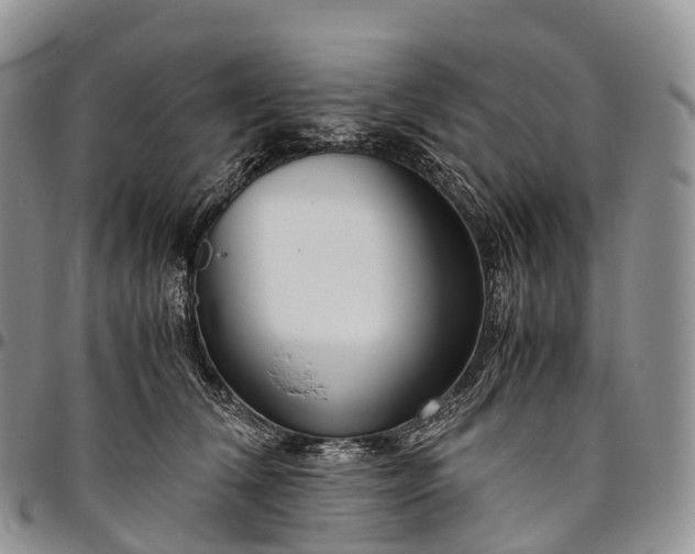 X0000094800612200711301541