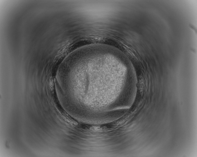 X0000094800613200711301541