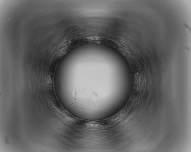 X0000094800614200711301541