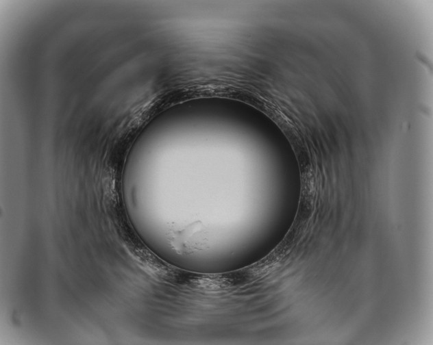 X0000094800615200711301541