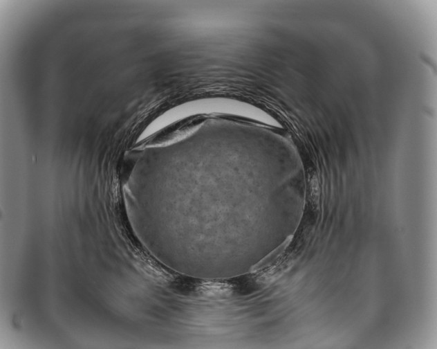 X0000094800617200711301540
