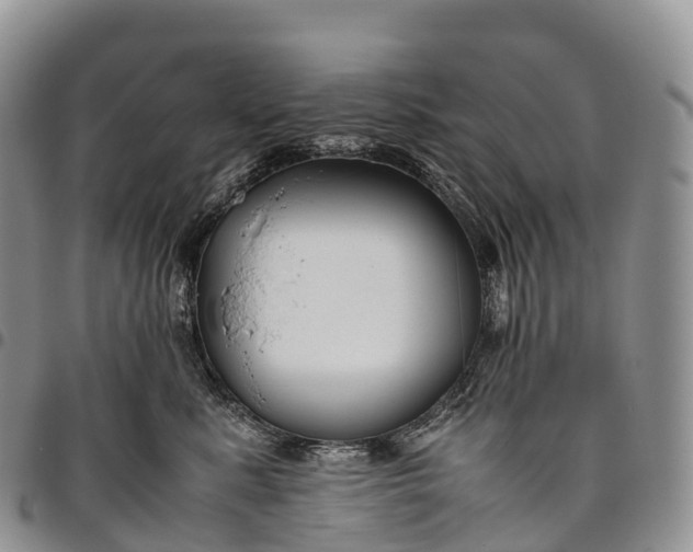 X0000094800619200711301540