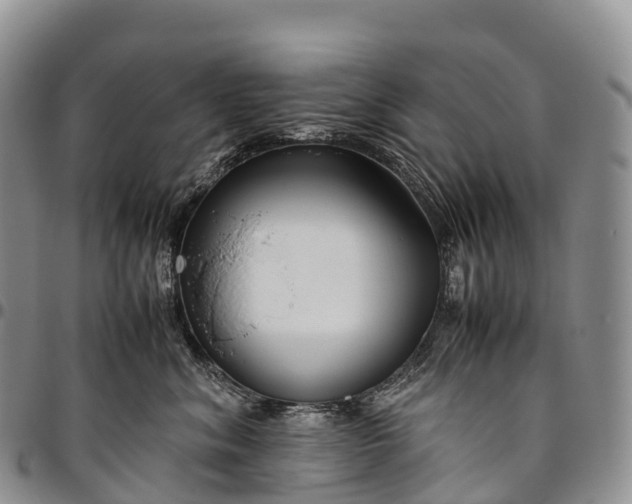 X0000094800620200711301540