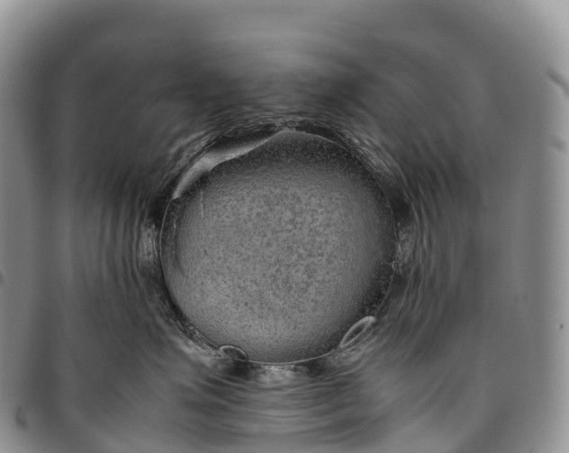 X0000094800623200711301540