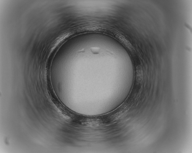 X0000094800626200711301540