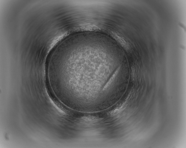 X0000094800630200711301540