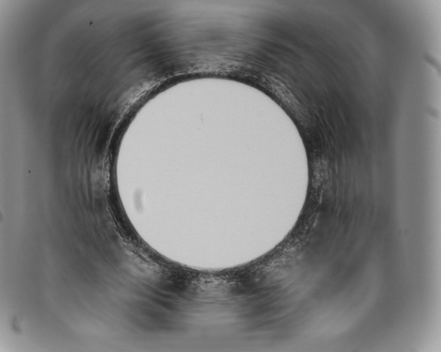 X0000094800632200711301540