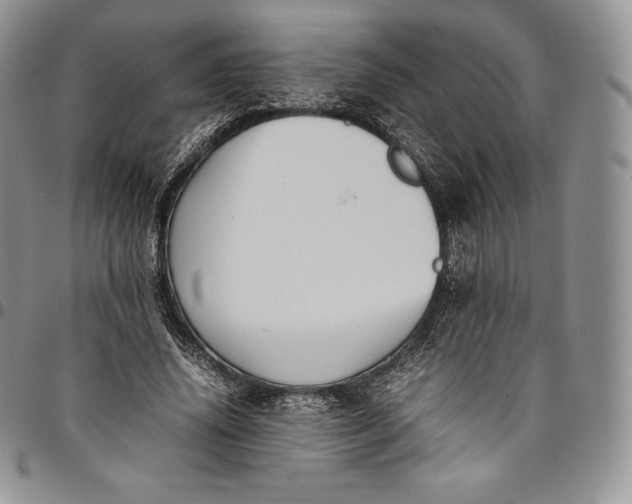 X0000094800636200711301540