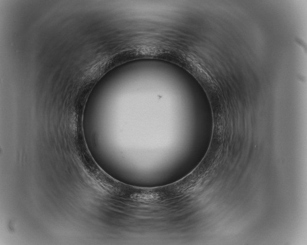 X0000094800639200711301540