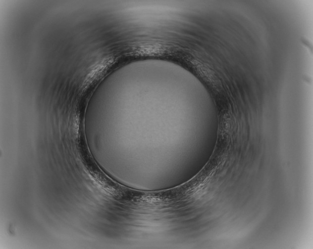 X0000094800640200711301540