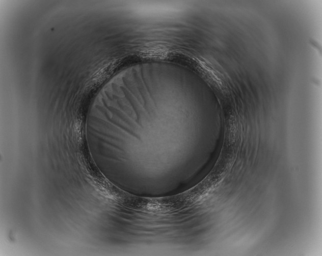 X0000094800641200711301540