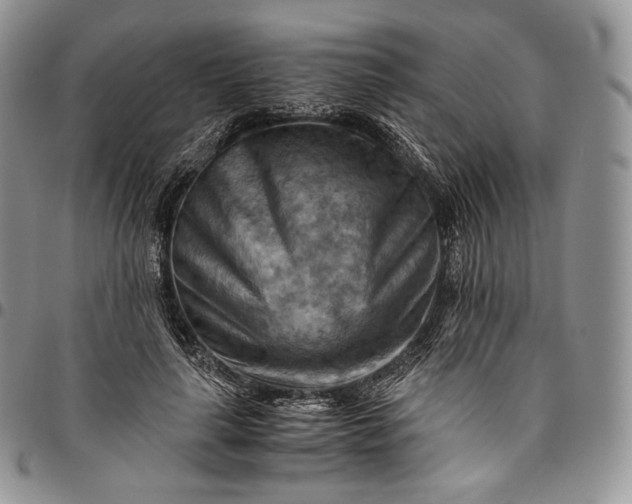 X0000094800643200711301540