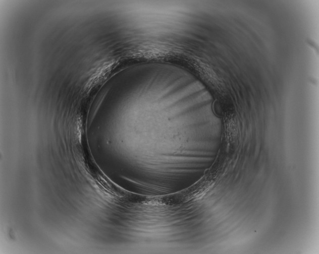 X0000094800644200711301540