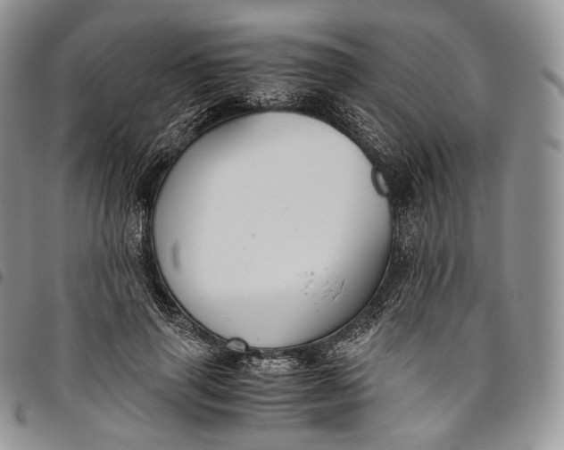 X0000094800645200711301540