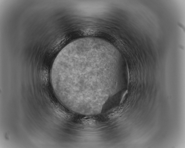 X0000094800648200711301540