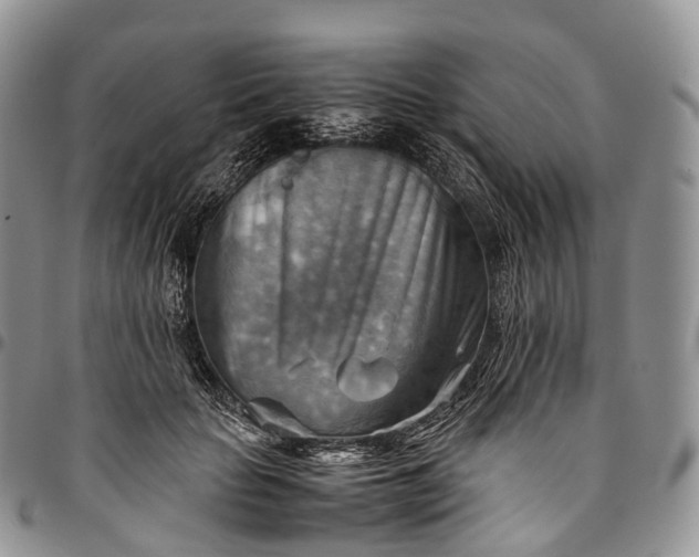 X0000094800653200711301540