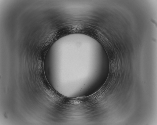 X0000094800654200711301540