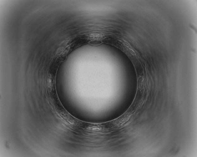 X0000094800655200711301540