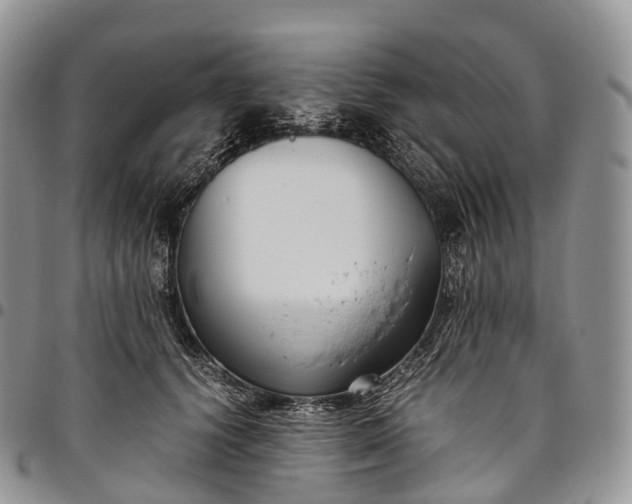 X0000094800656200711301540