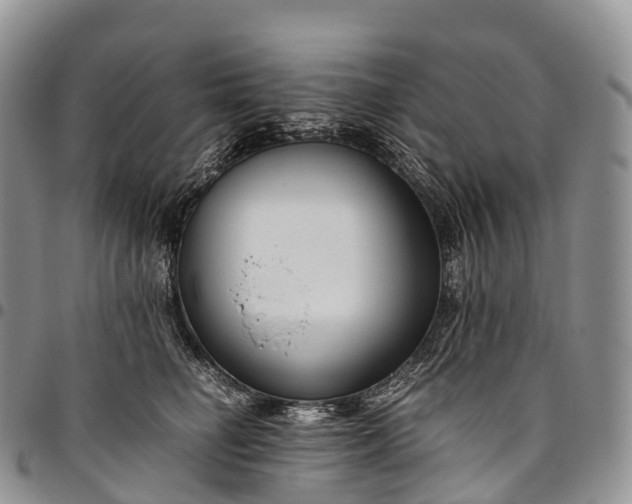 X0000094800662200711301540