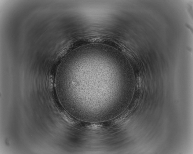 X0000094800664200711301540