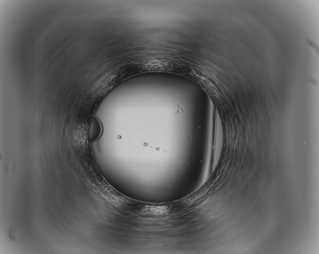 X0000094800665200711301540