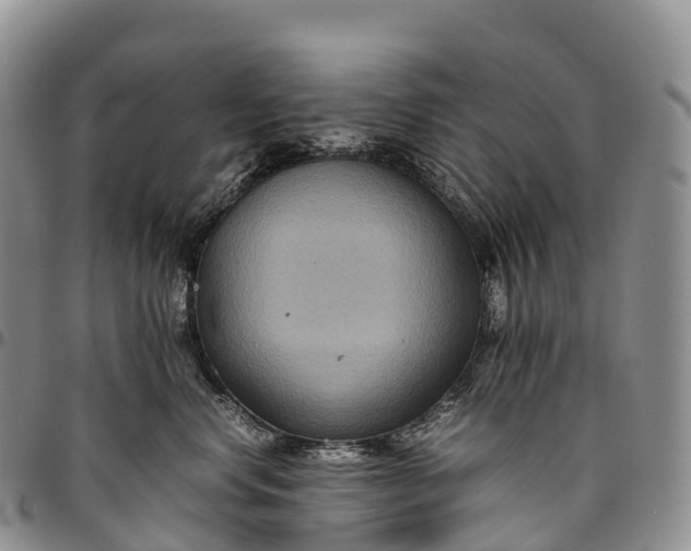 X0000094800668200711301540