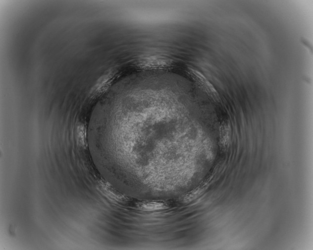 X0000094800669200711301540