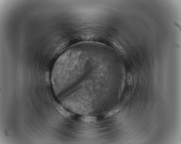X0000094800670200711301540