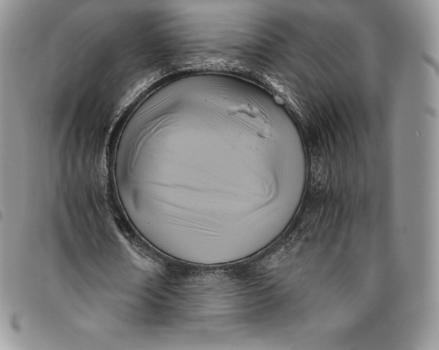 X0000094800674200711301540