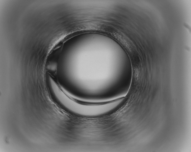 X0000094800676200711301540