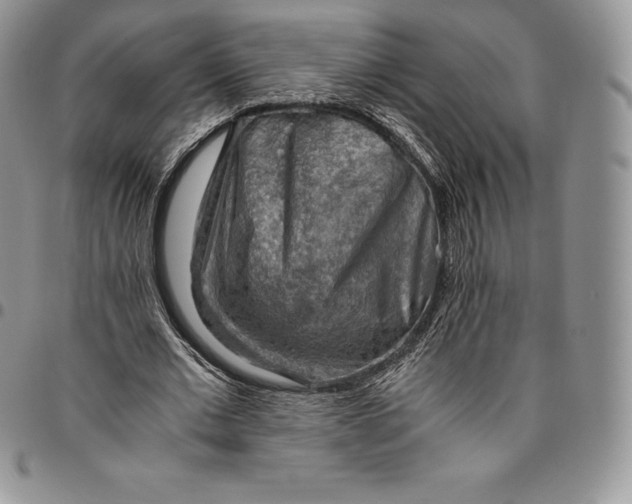 X0000094800677200711301540