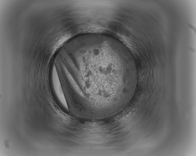 X0000094800679200711301540