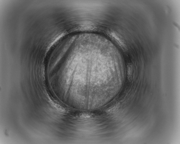 X0000094800684200711301540