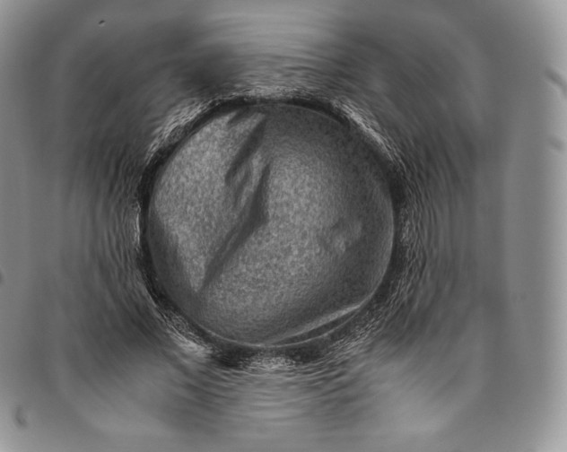 X0000094800685200711301540