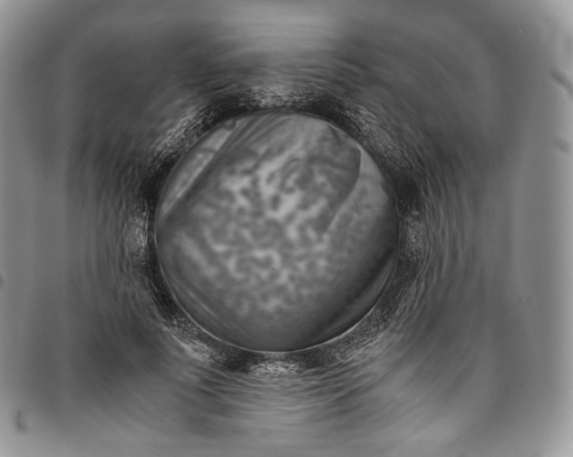 X0000094800691200711301539