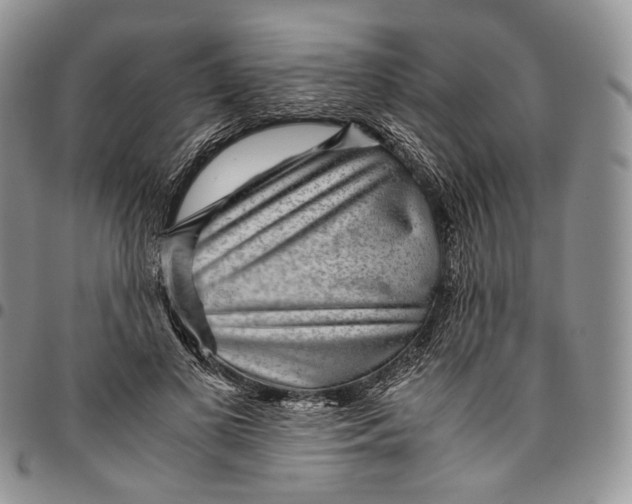 X0000094800693200711301539