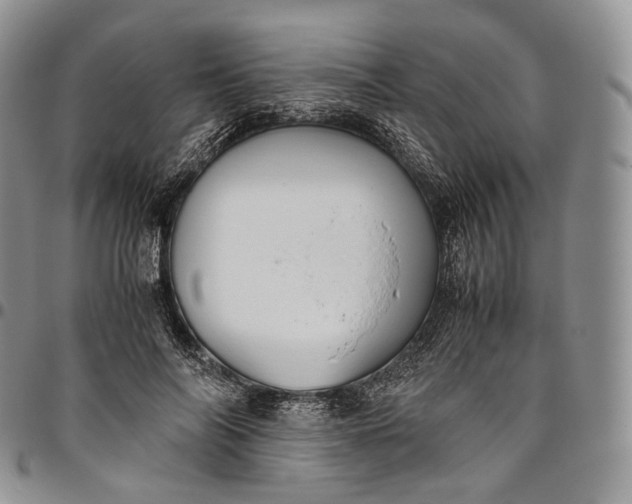 X0000094800694200711301539