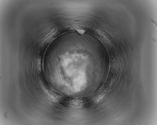 X0000094800696200711301539