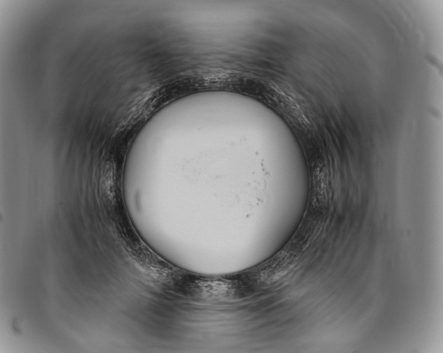 X0000094800698200711301539