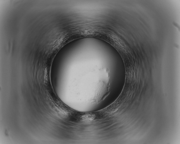 X0000094800700200711301539