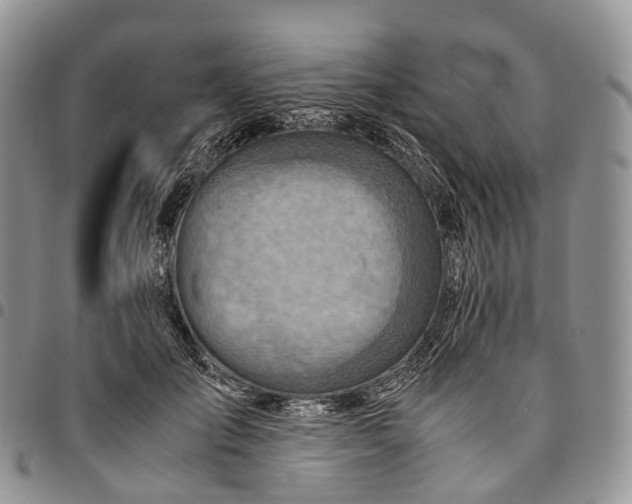 X0000094800701200711301539