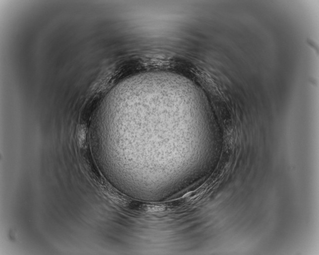 X0000094800709200711301539