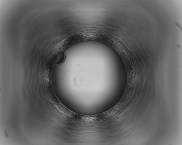 X0000094800710200711301539
