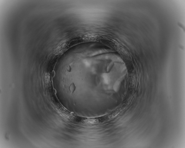 X0000094800711200711301539