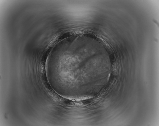 X0000094800715200711301539
