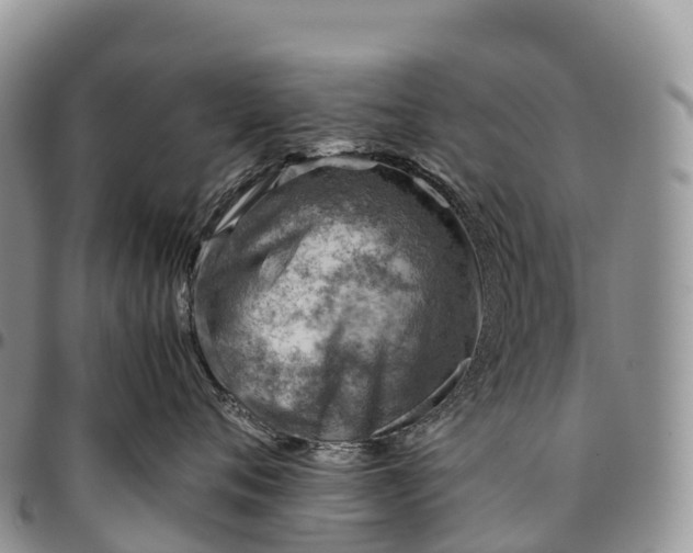 X0000094800720200711301539